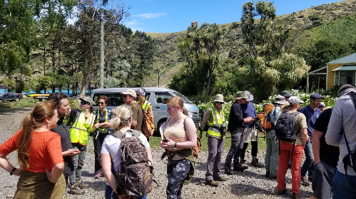 penguin survey day