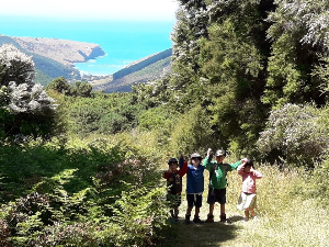 10 things to do in Akaroa with children