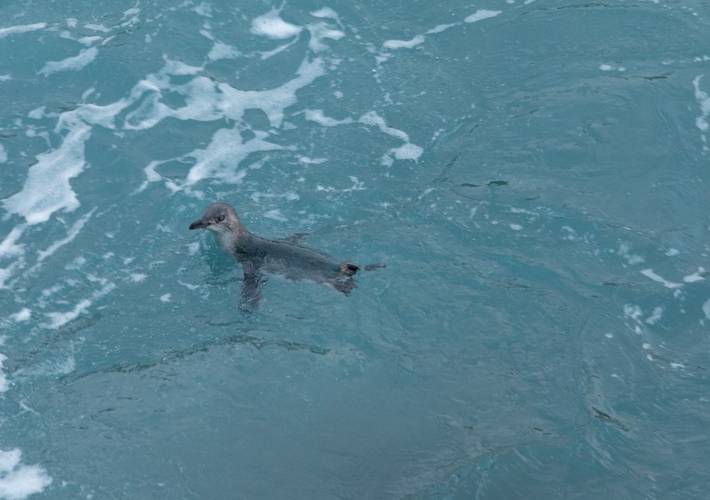 Tracking at sea