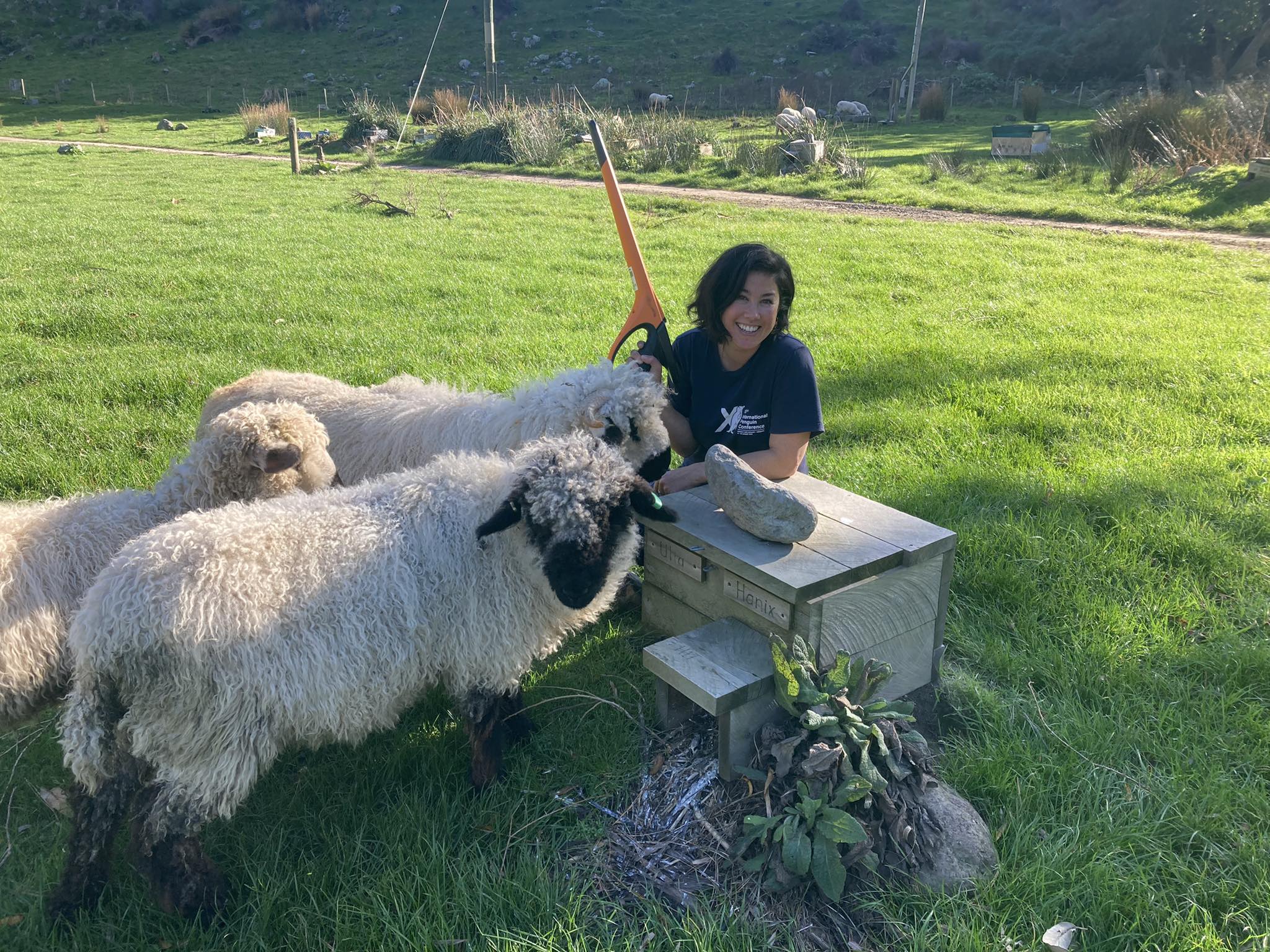 Monitoring of a subset of the colony