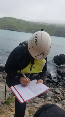 Pohatu penguin team member surveying