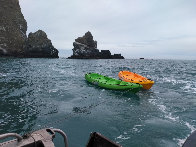 Kayaks towed