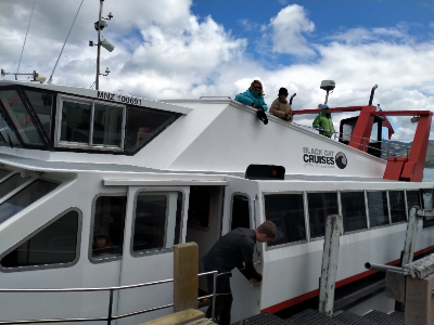 Welcome on board Black cat cruise for the penguin survey led by Pohatu penguin