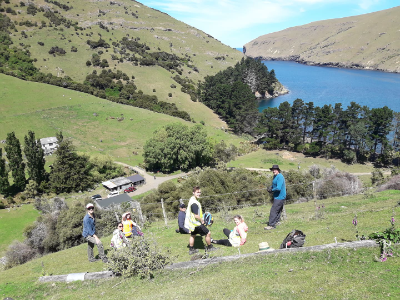 Setting boundaries for a penguin survey