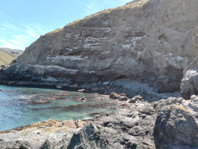 Stunning scenery and cliffs around Banks Peninsula