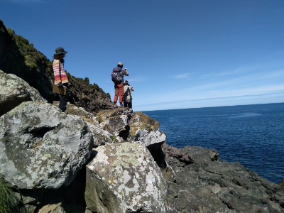 Stony Bay penguin surveying