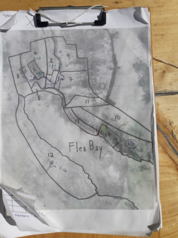 Survey map of Pohatu